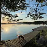 Kurenniemi