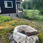 فيلة Kurenniemi Taipalsaari