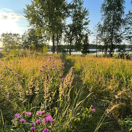 Kurenniemi Taipalsaari