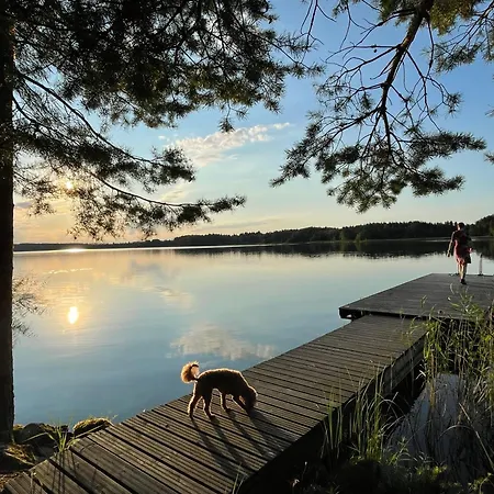 Kurenniemi