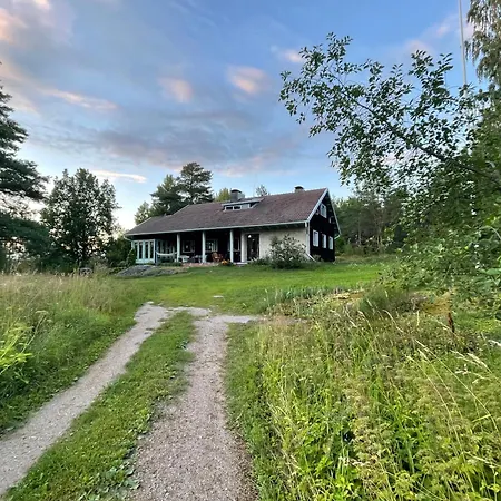 Kurenniemi فيلة *